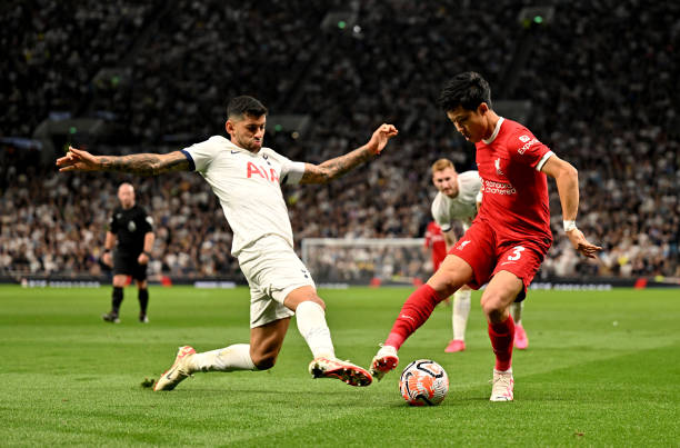 的共同努力 的共同努力